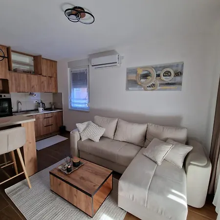 Miha Vrnjacka Banja Vrnjci