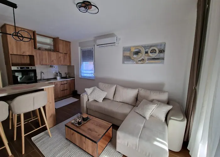 Miha Vrnjacka Banja Vrnjci