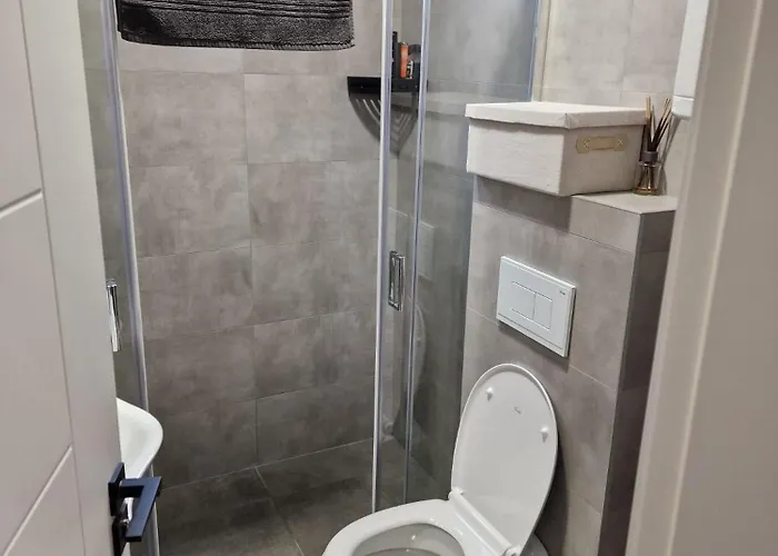 Miha Vrnjacka Banja Vrnjci